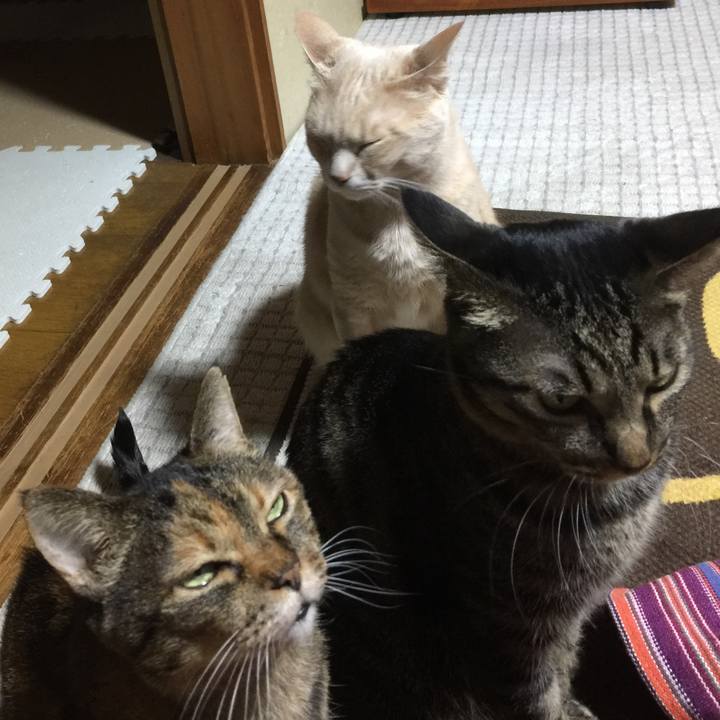 63661b78 968d 4ce5 9c1d fb2fdfc9b842 1515501733082