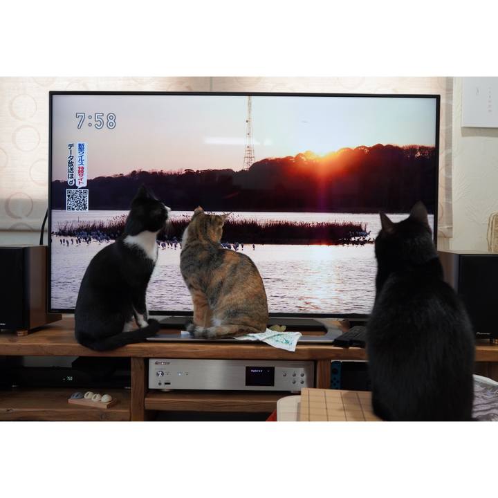 63662ed0 468c 4a2c af74 0c60b4918892 1584238195495