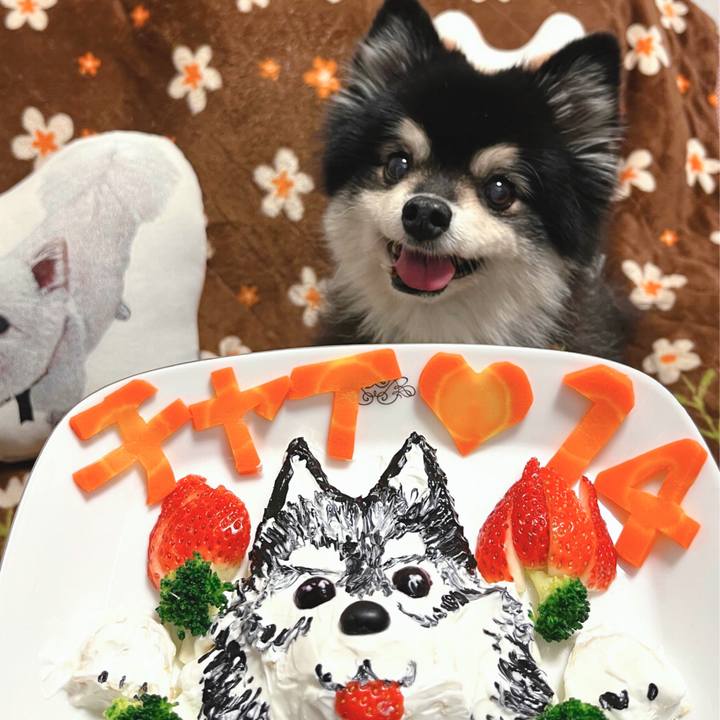 636634cb 2524 40c6 9efe 88e4dca15747 1672314127979