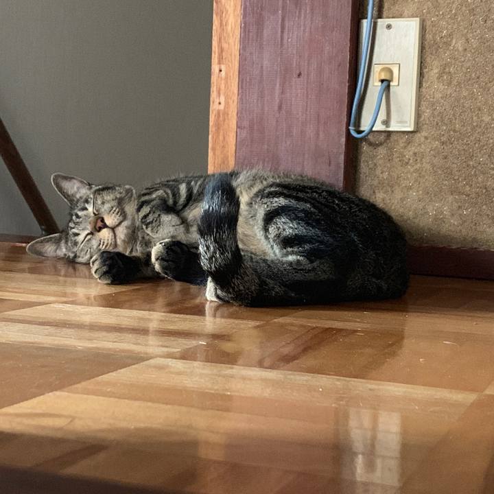 63664e2a efb5 4181 a1cc 71567819dd03 1563370119931