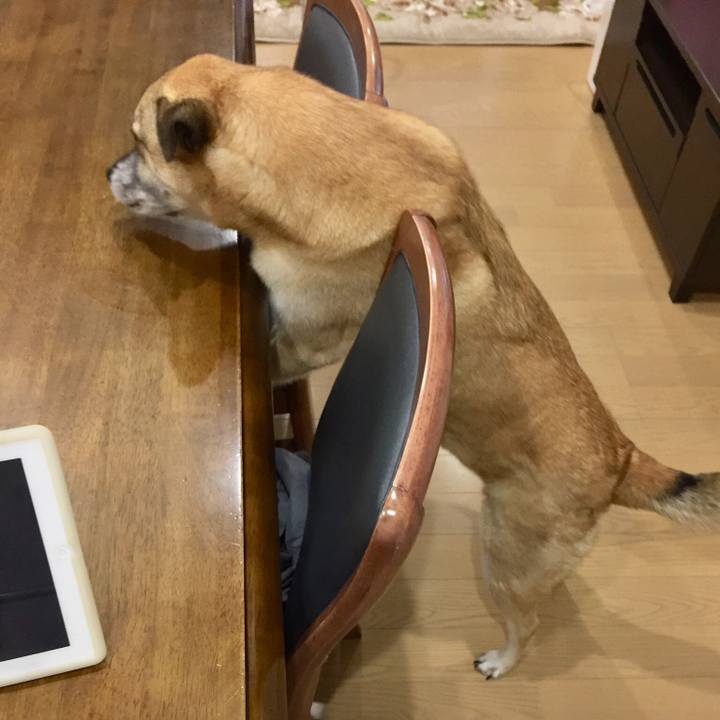 6366b380 8cee 4b51 8ea7 507a9d95b55c 1514418375679