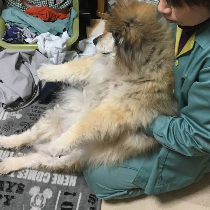 6366b9dc c329 431e aedd 996f037aa583 1547891854377