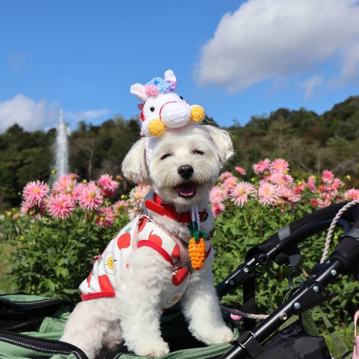 6366df40 4058 4af1 b246 984127a82c2b 1767278881426