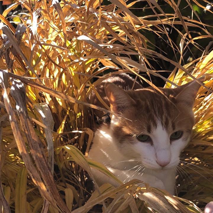 63670004 1f30 4ada 8783 1a62c1e3da0f 1543309174083