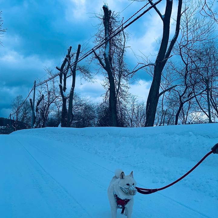 63670dc8 215b 4b1d ba70 3c28e540953f 1768947880795