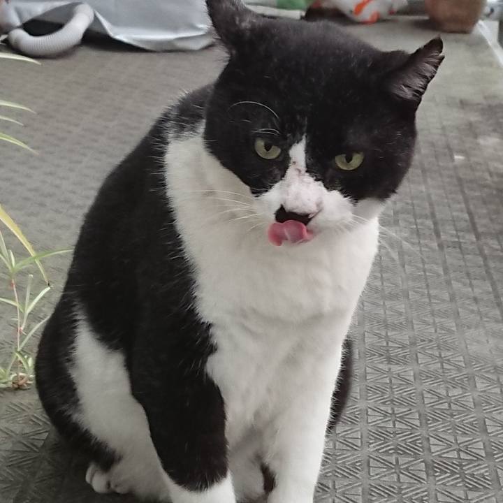 6367174d c28e 4daa 84c3 caa0853c3936 1600762722605