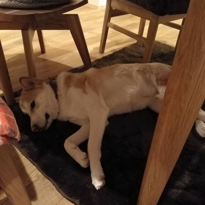 63674677 e739 412e a03c 2e6b011ea72e 1516880949080