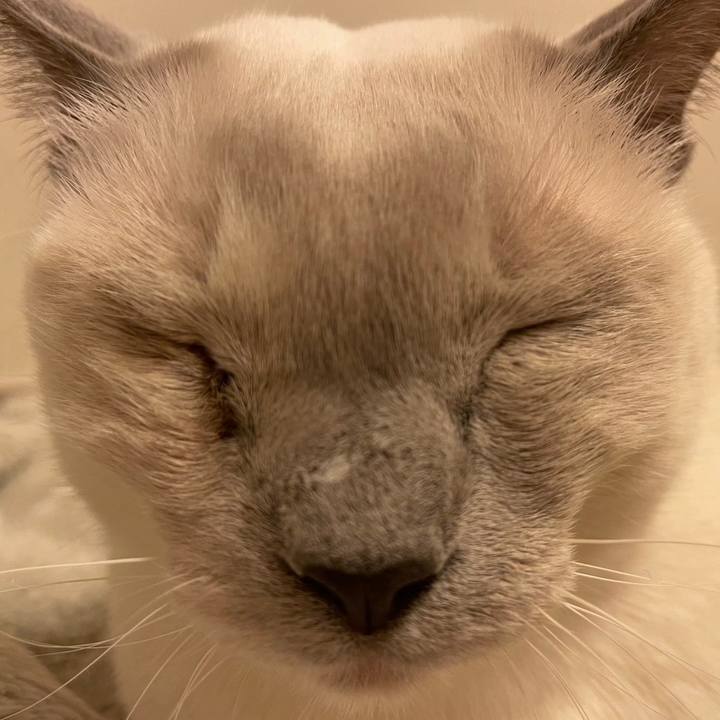 63677580 281c 44fc 92be f69d3d590f0a 1737546252433