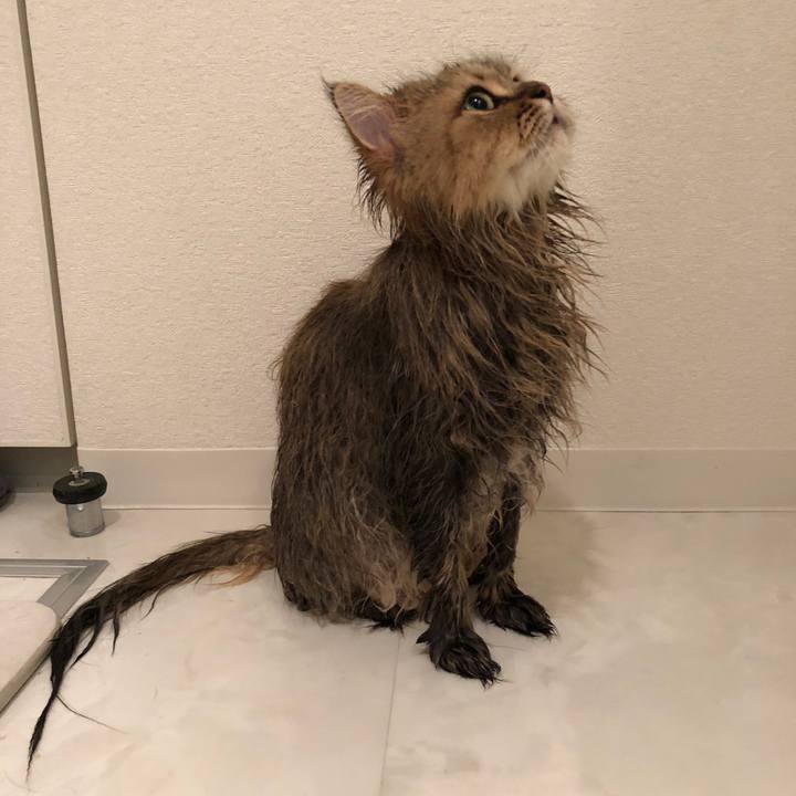 6367a1fb 6dd5 48f1 a8ba bdf480abec62 1537068448795