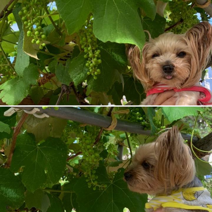 6367d5ec 6669 4466 b355 471f8ab8dffc 1626080972601