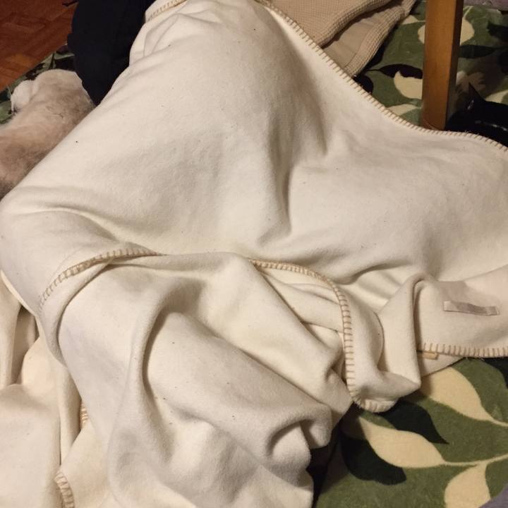 6367f9f0 8b62 4937 88d7 5b9e937761f8 1580211486019