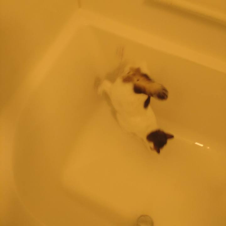 636823b4 3574 4feb 9c89 9571b5cbf471 1714473051168