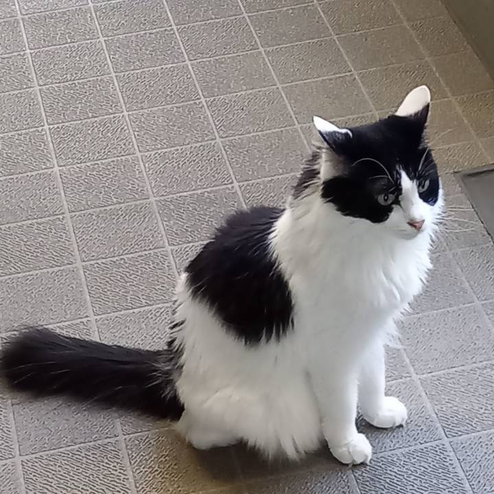 636842a9 0a68 49da a16c 6195f0d03ad8 1657401485134