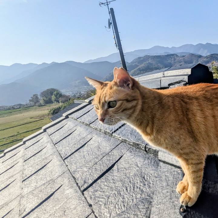 6368517f 35d3 4c51 9232 1ffc0262f90e 1773758701756