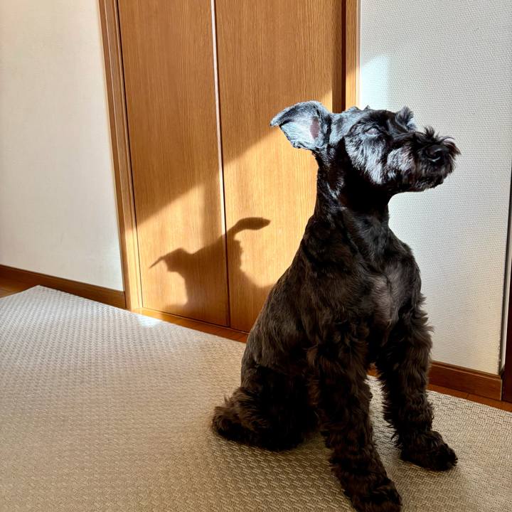 6368769e 5776 4af8 a91f a4d840163eec 1763258555082