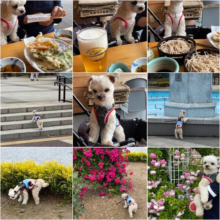 6368b0e7 6a97 42d7 9766 319b3a5a0a51 1590921837412