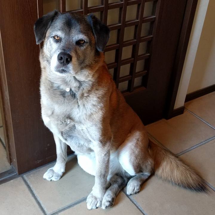 6368c6ed eb63 45e0 914d b35042f983b9 1519098070037