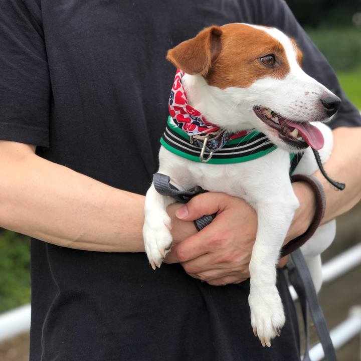 6368cd7d a714 4eb2 8229 e39477b5a8da 1564115356261