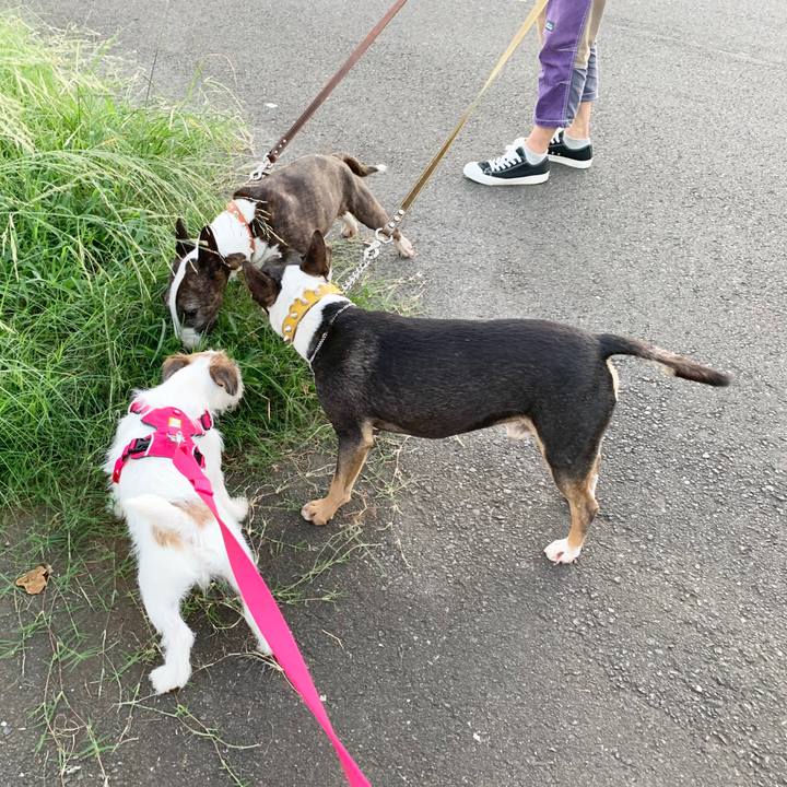 63691787 3451 4273 aae3 de397ba6a925 1567850030905