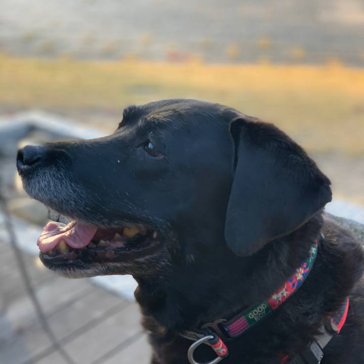 6369284f 6cb0 46cf 82df 5220fdb07156 1573904846873