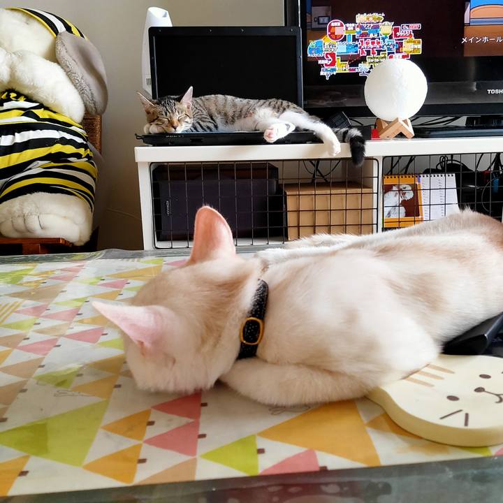 6369305a a1d8 4c82 81cf 4af137e55d67 1629676790139