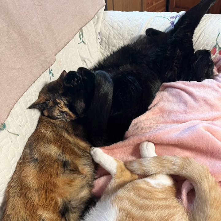 63698fb3 cf97 4be9 a05d 76ec0a326ae3 1675581251454