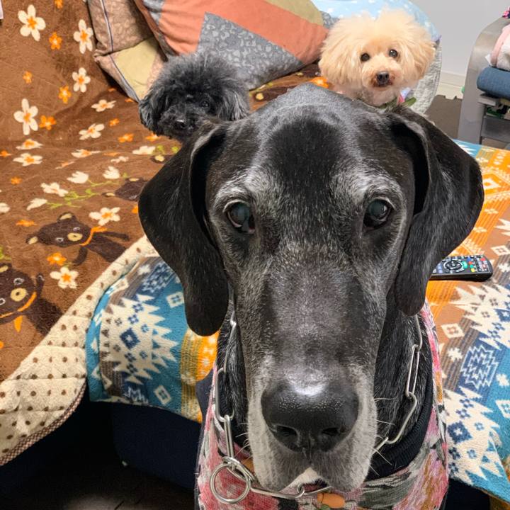 63699afe 3d2c 4a59 9cd9 960e29f3e91b 1609282624793