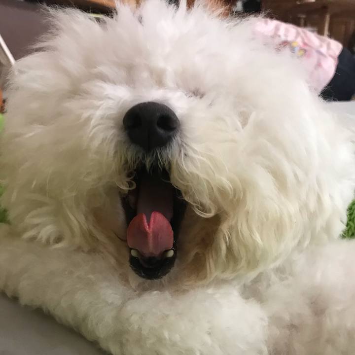 6369cc91 4f8e 4f5b ae4e 3f437a0c3461 1593585517839