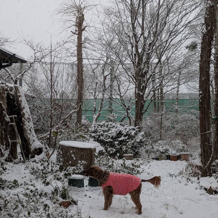 636a4b6e 4b11 4632 a931 ed5cef35a4b4 1765667183900