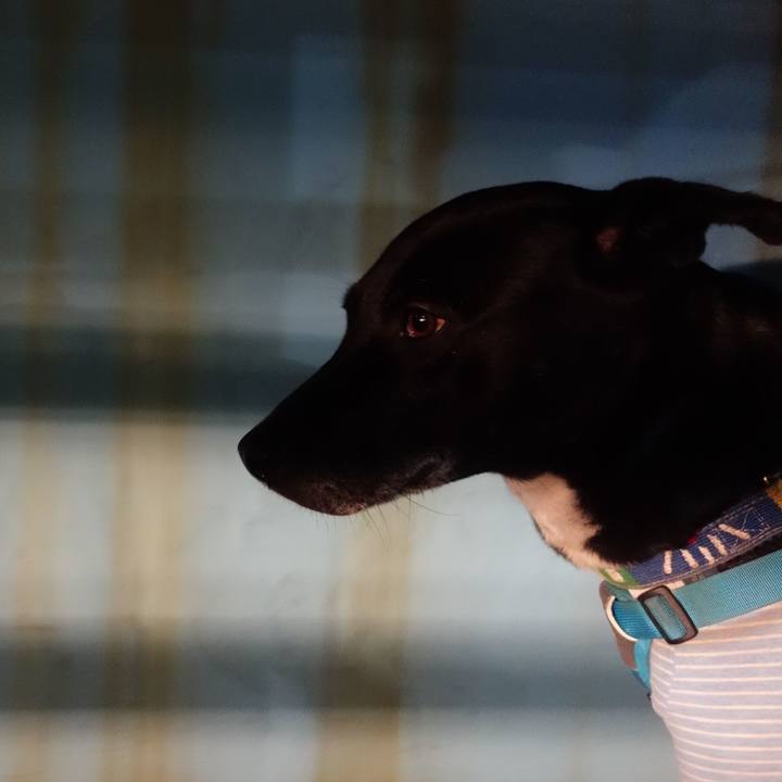 636a4e1d 19a9 4c9a b716 5f7da5845eaa 1674645025843