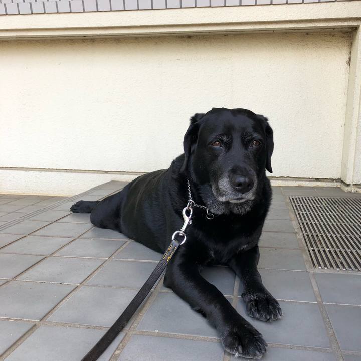 636aa615 a141 43f1 b038 e801a86e8d12 1558056130361