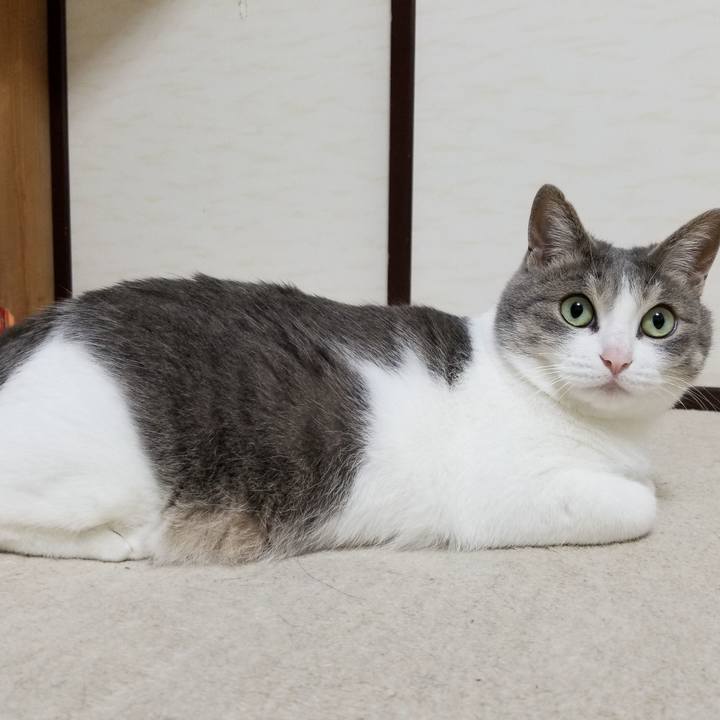 636ac117 cd30 4061 bcfd 815ab24326d0 1528977829394