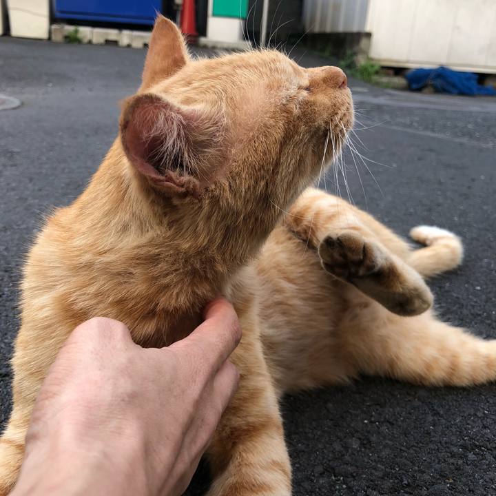 636add0c 6dab 4601 b9b4 76ec7784e8c3 1569072560019