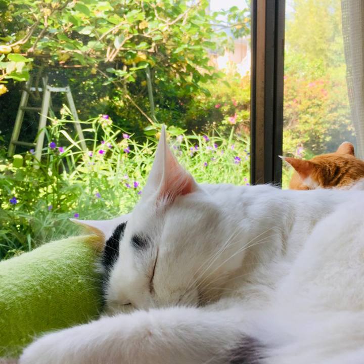 636b4e27 3a24 4001 ba9d d4312f713513 1559789967701