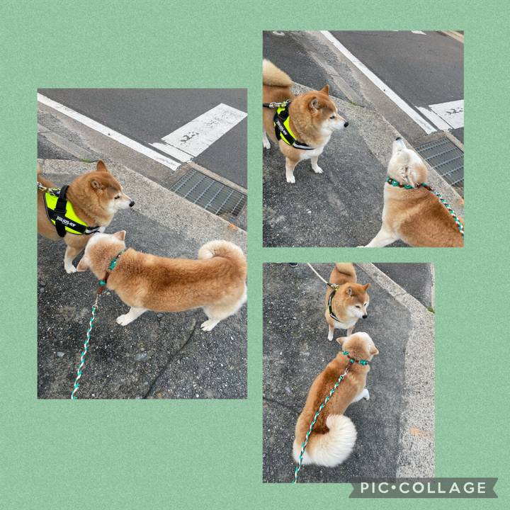 636b6013 fd81 411a af8f cfffe2877535 1646902448083