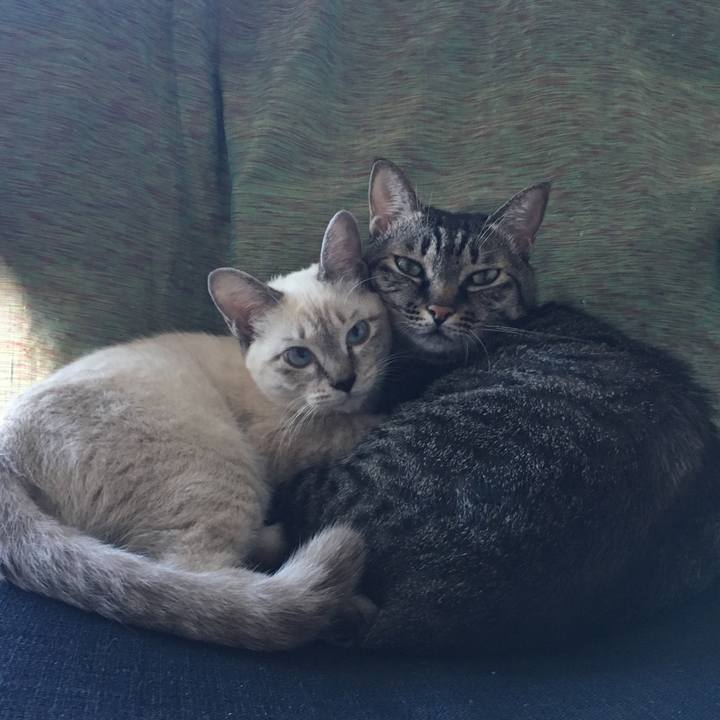 636c362c eea5 40d7 9fdd d0f81037782c 1540359488580