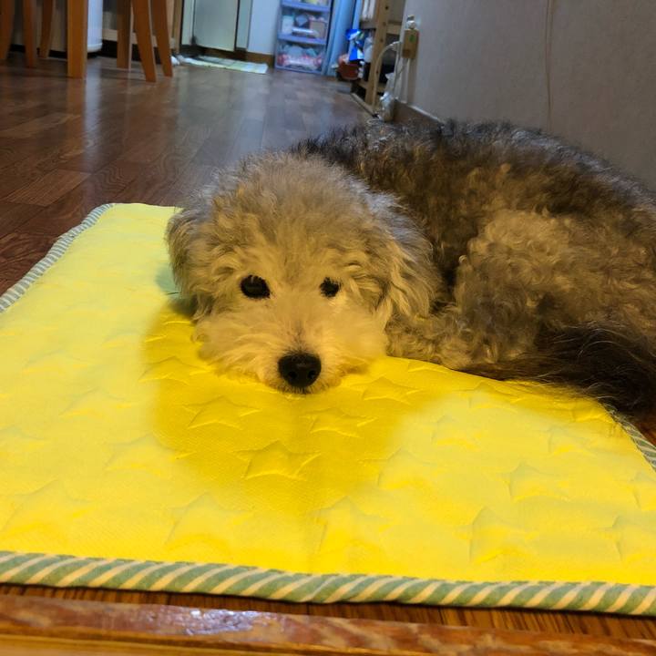 636c4224 6665 464e bfaf 9297c8eb06f9 1533564472760