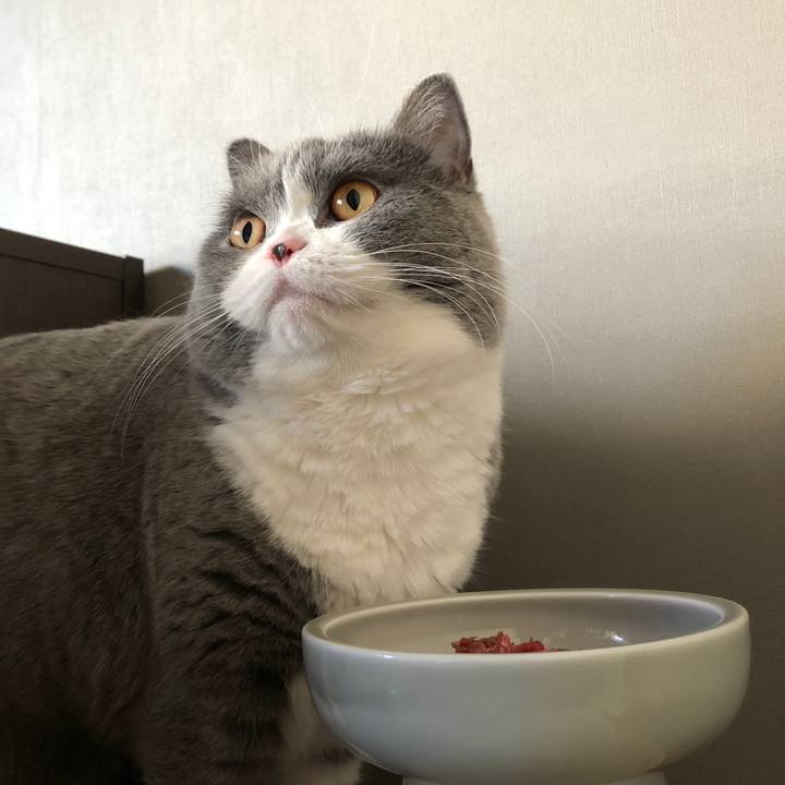 636c8637 07fc 46c6 ae8e 3015e878696a 1513036689858