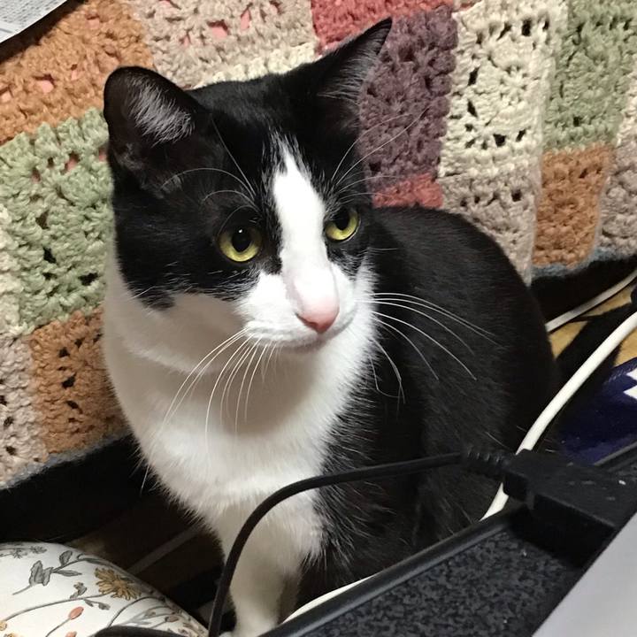 636cb7ef b597 4892 9787 1ce319400335 1712315200100