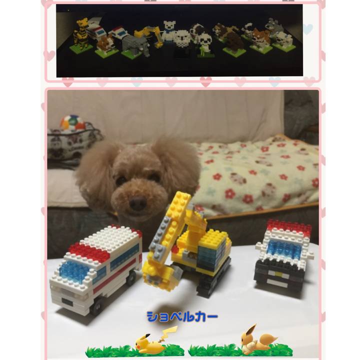 636cd51a 9a46 4ad3 bdd7 f5e4ae832646 1538300270790