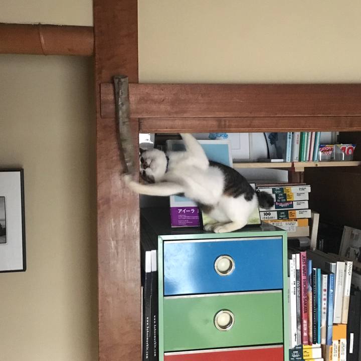 636d0d06 6fb4 4680 ace6 52f451d428f3 1540601122686