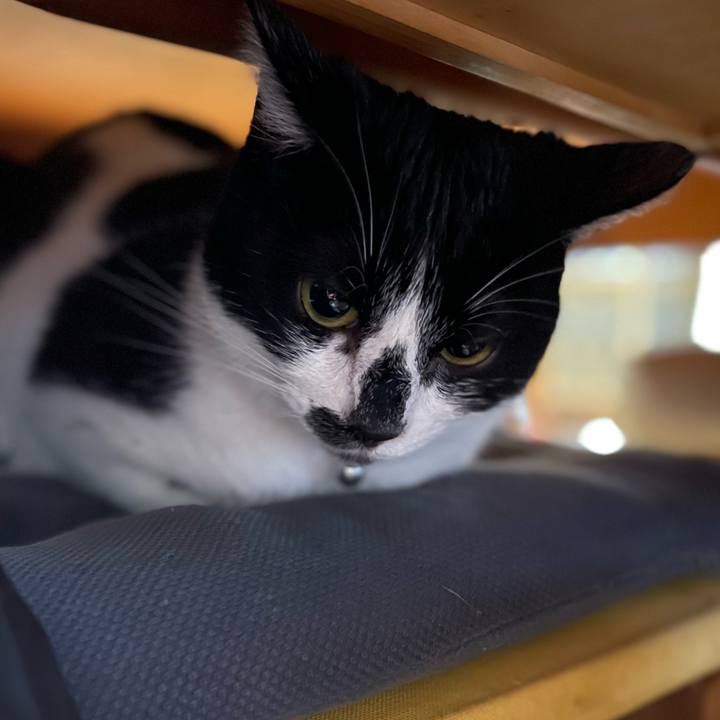 636d2b7c 6129 41b9 9636 e664bf16f3ac 1763172336576