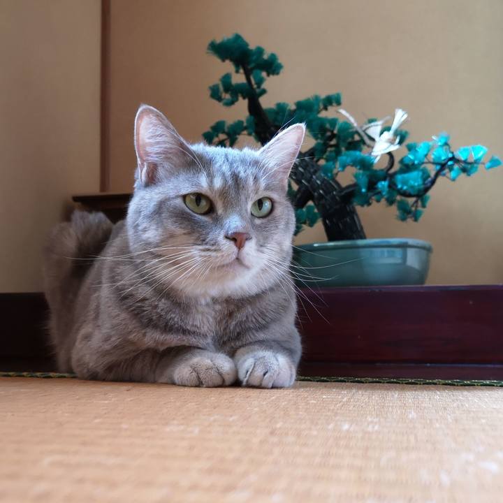 636d4682 317d 4248 a07b 513c68ce070e 1564913151326