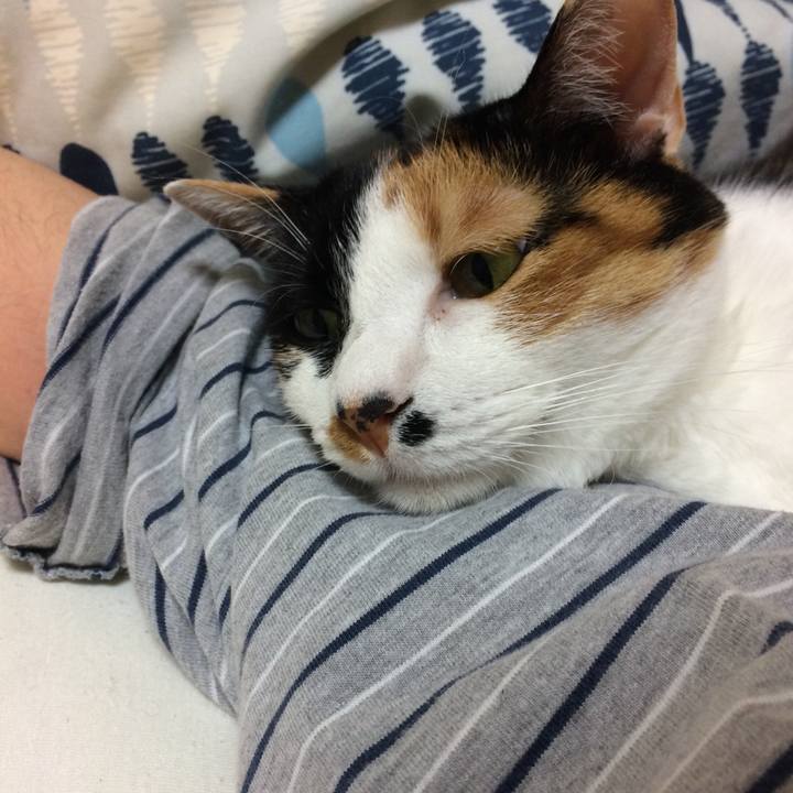 636d9ec5 e2b3 4e68 bf1a 6c04c9e98bcb 1560090056188