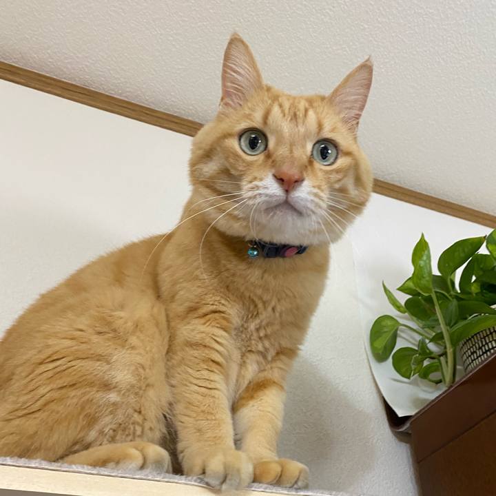 636da524 8900 4015 970a b75c43a05cde 1662093627791