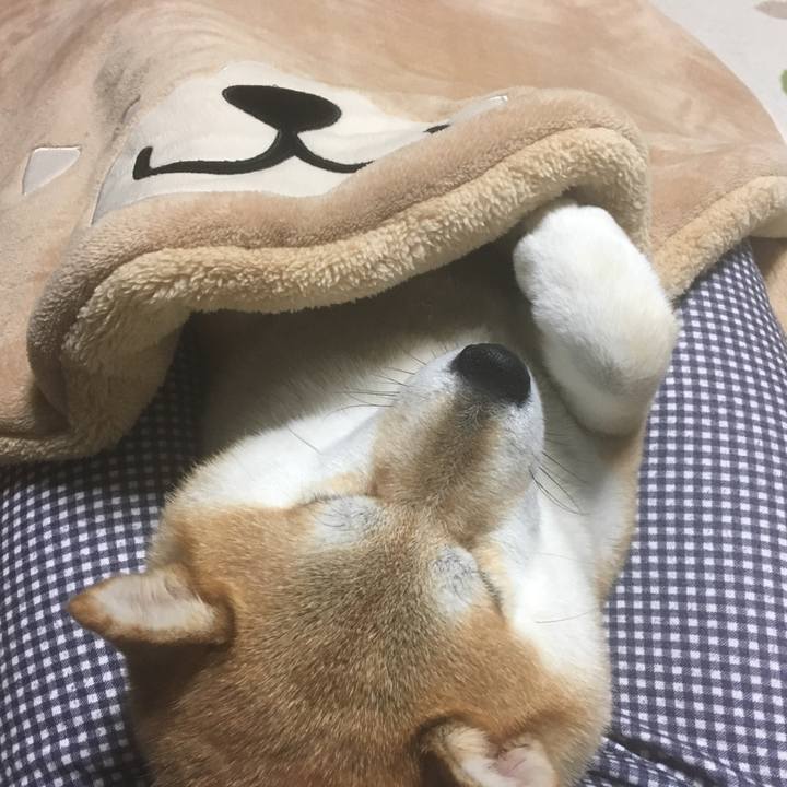 636da734 bd87 4f26 b917 b9870213b806 1544790177677