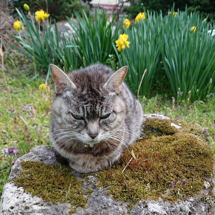 636dd5ed 526a 4b25 a74f 88f52c485675 1556095563002