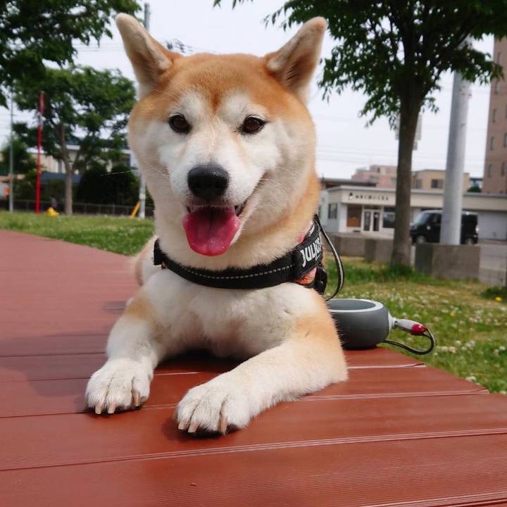 636dead5 0e65 4cb7 9164 ba8cb09e2871 1592121494658