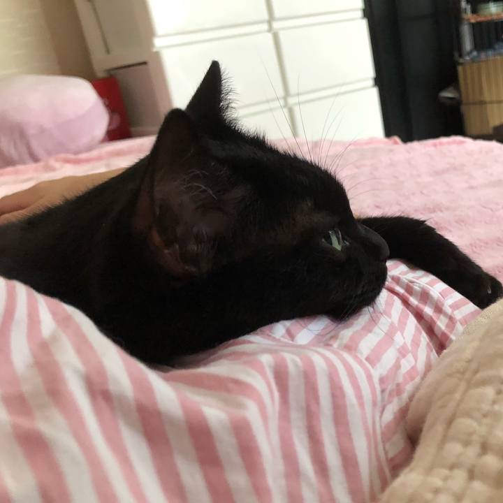 636dfcd5 918a 4219 bb96 f5dd9bff8dfc 1567208306270