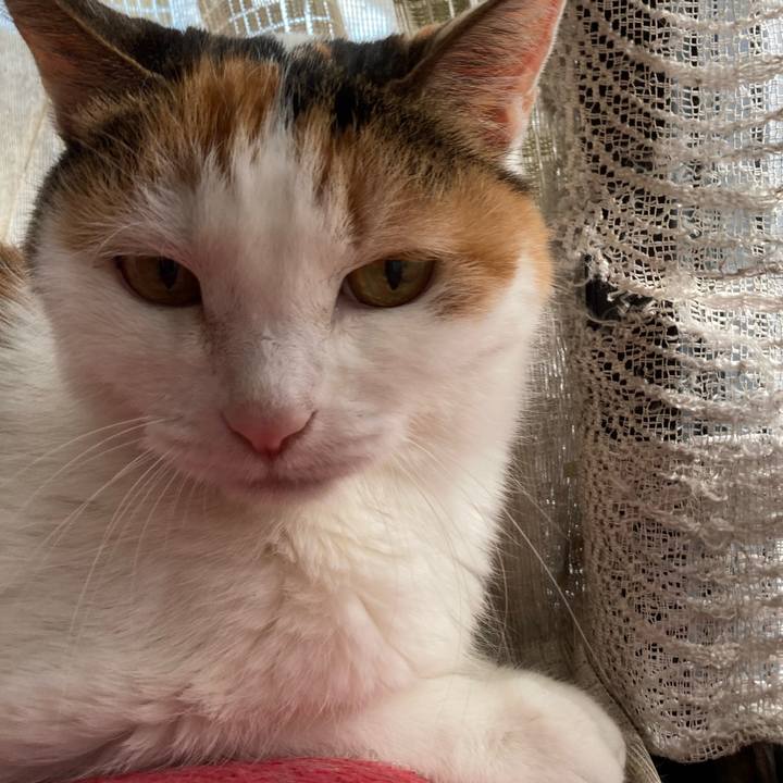 636e0ce6 145d 4079 9696 5b49d35c2c53 1603529683751